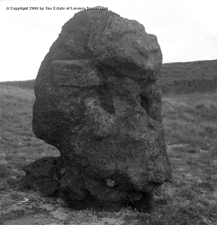 ANA_Cabeza_Calavera_03.jpg - Easter Island. 1960. Anakena. Rests of a head on the descent to the beach. Right profile.